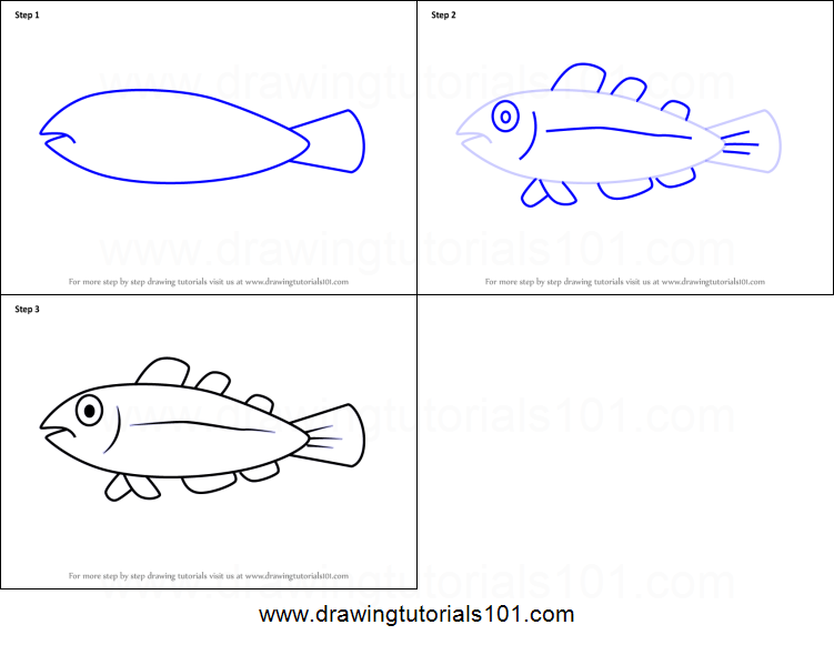 751x581 How To Draw A Cool Fish For Kids Printable Step - Cool Fish Drawings