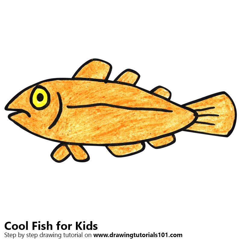 800x800 Learn How To Draw A Cool Fish For Kids - Cool Fish Drawings