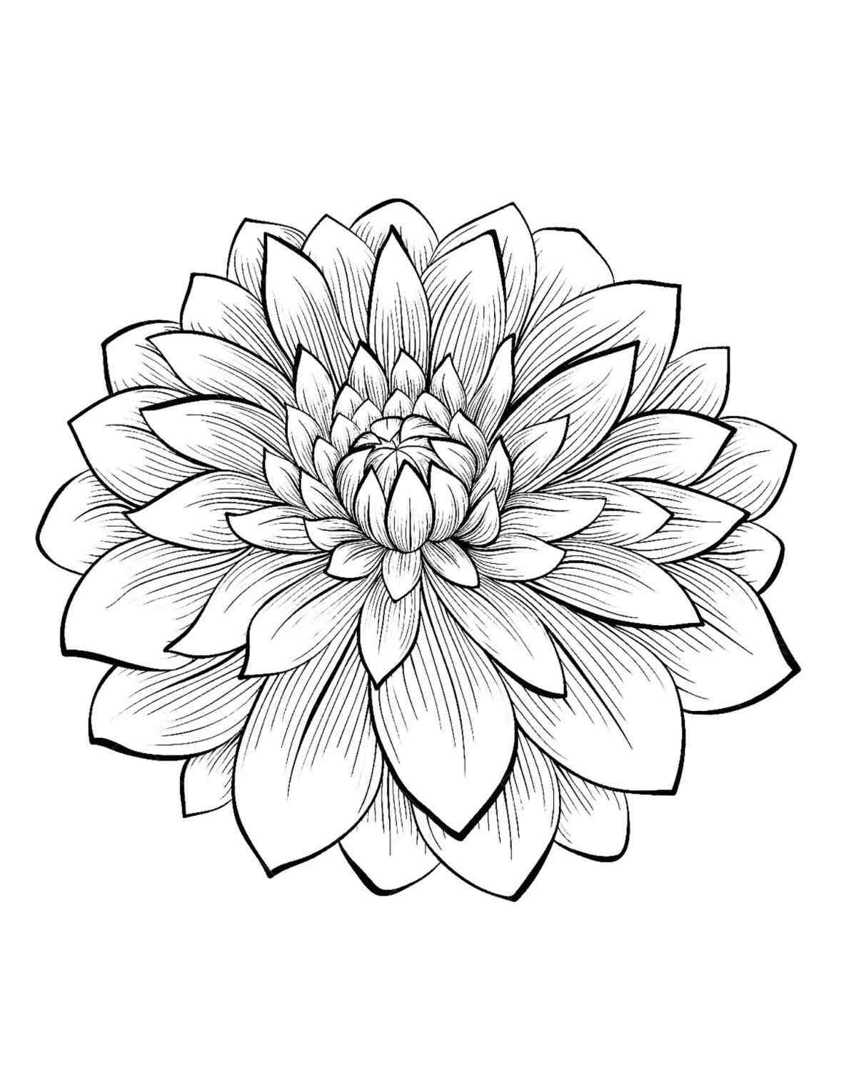 Cool Flower Drawings at Explore collection of Cool