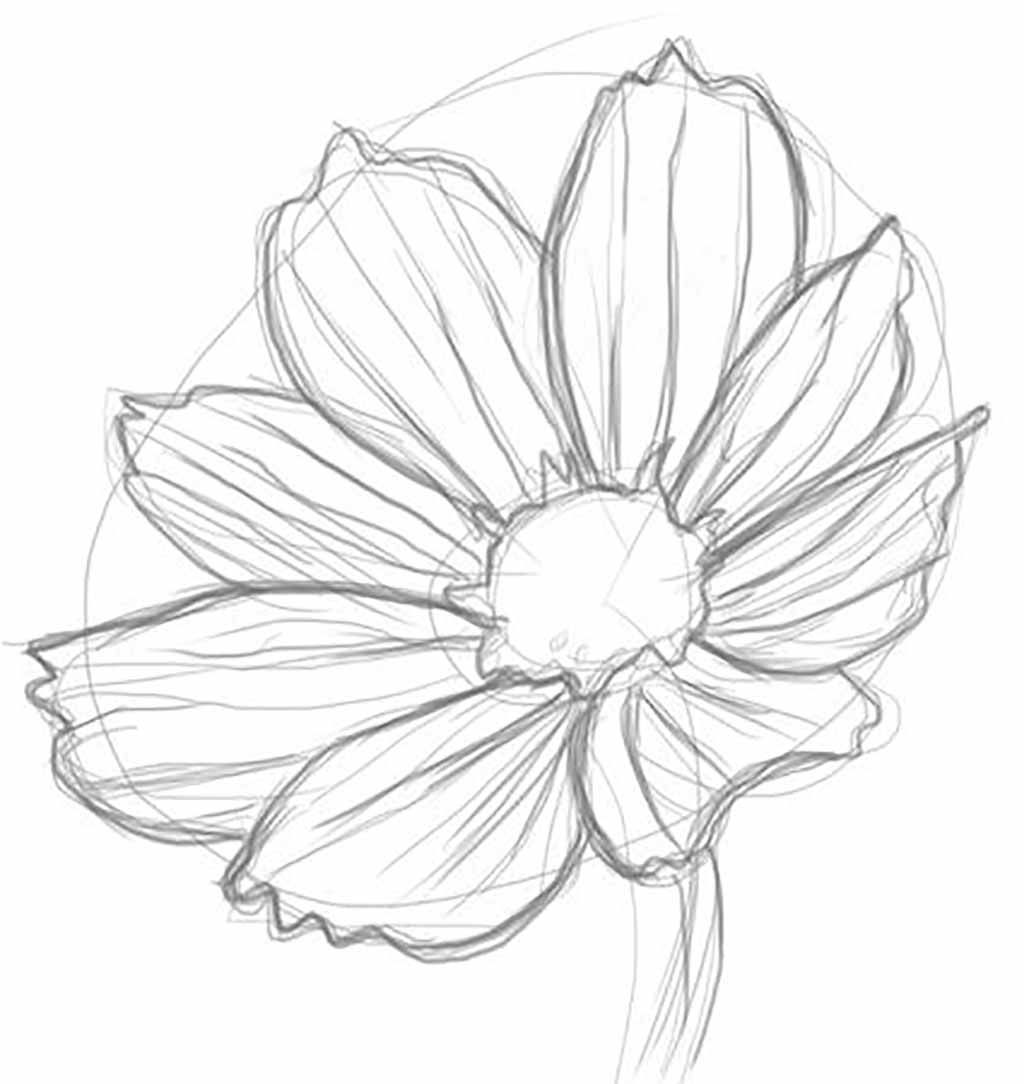 1024x1084 Drawn Flower Unique Flower - Cool Flower Drawings