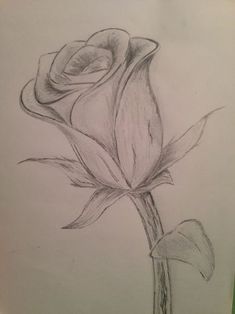235x314 Cool Flower Drawings Visit My Youtube Channel To Learn Drawing - Cool Flower Drawings