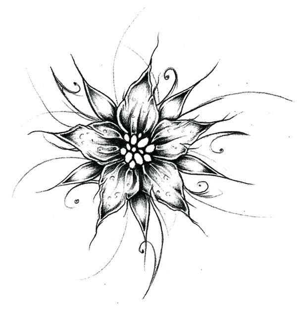 600x625 Cool Flower Designs Best Art Projects To Do For Images On Drawing - Cool Flower Drawings