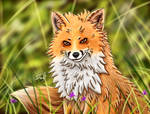 150x114 Cool Fox - Cool Fox Drawings