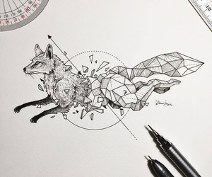 300x250 Amazing, Art, Beautiful, Black And White, Draw - Cool Fox Drawings
