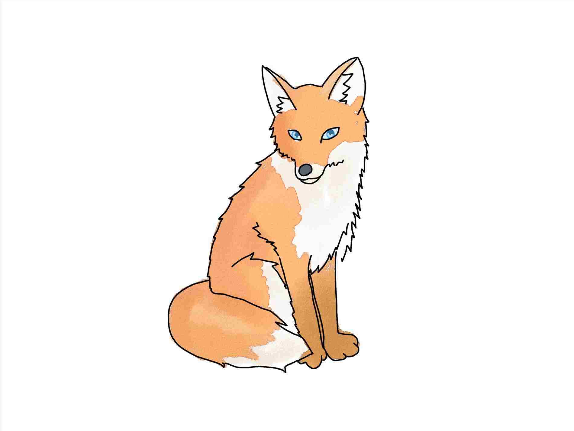 Cool Fox Drawings at Explore collection of Cool