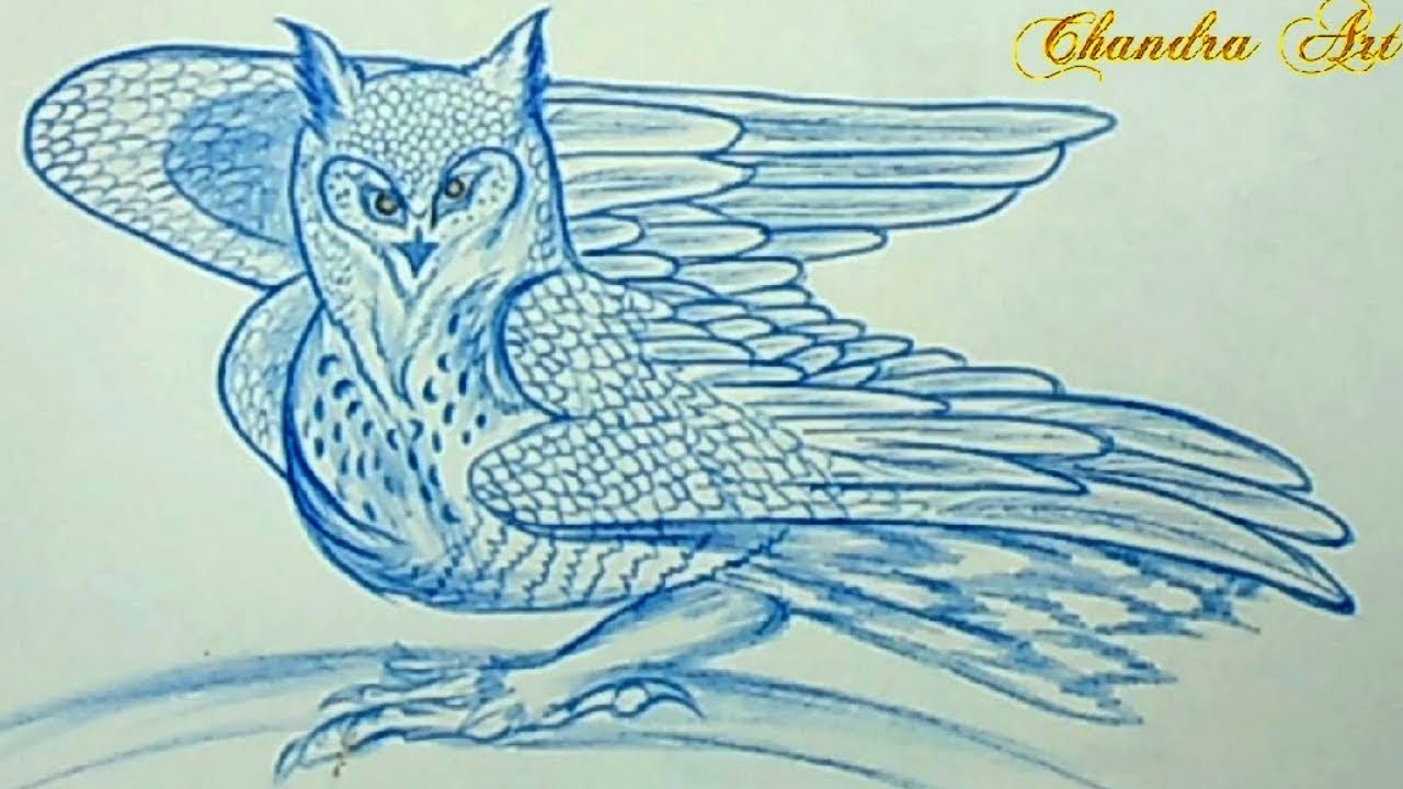 1280x720 Cool Easy Pencil Drawing - Cool Owl Drawings