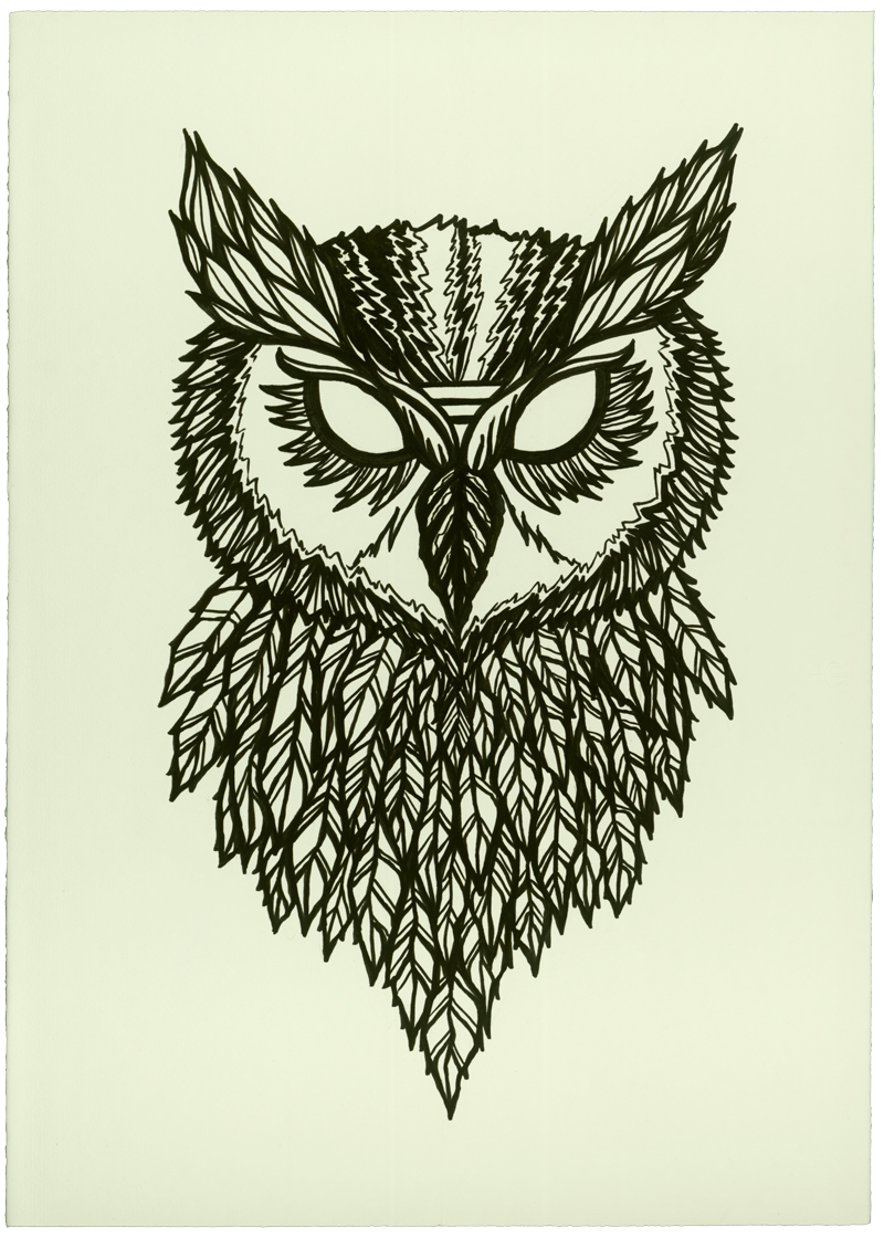 800x1120 Cool Owl Drawings - Cool Owl Drawings