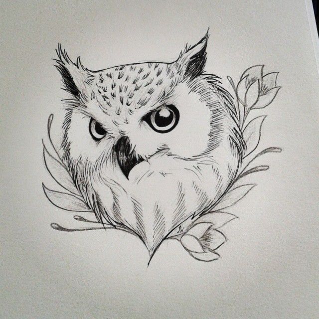 Cool Owl Drawings at Explore collection of Cool