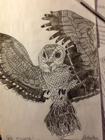 360x480 owl drawing cool animal pencil pen paper hobby birds nature - Cool Owl Drawings