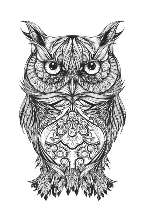 Cool Owl Drawings at PaintingValley.com | Explore collection of Cool ...