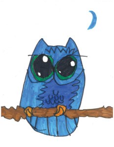 232x300 Awesome Owls Zoobooks - Cool Owl Drawings