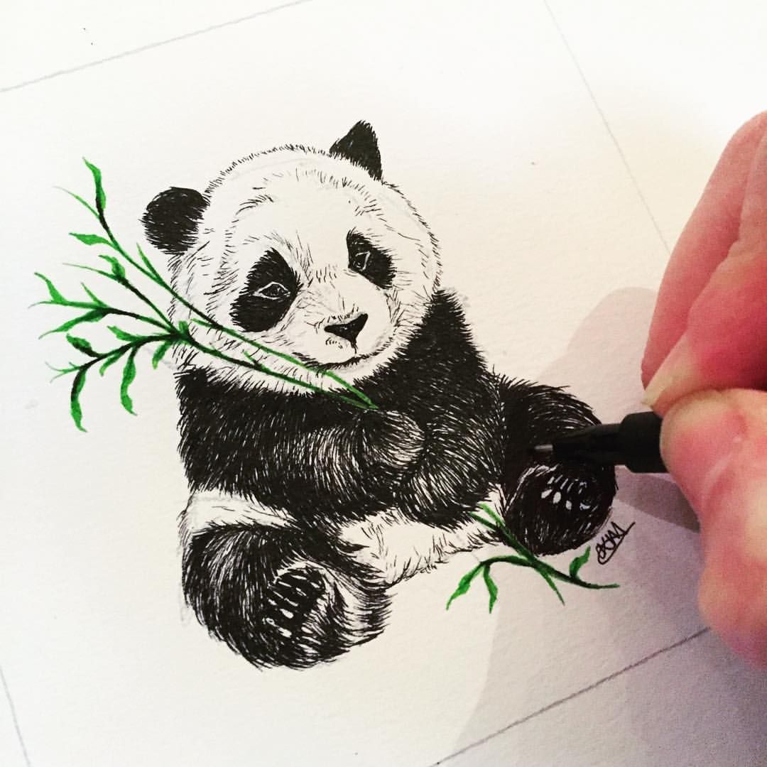 1080x1080 Just Drew Up This Little - Cool Panda Drawing