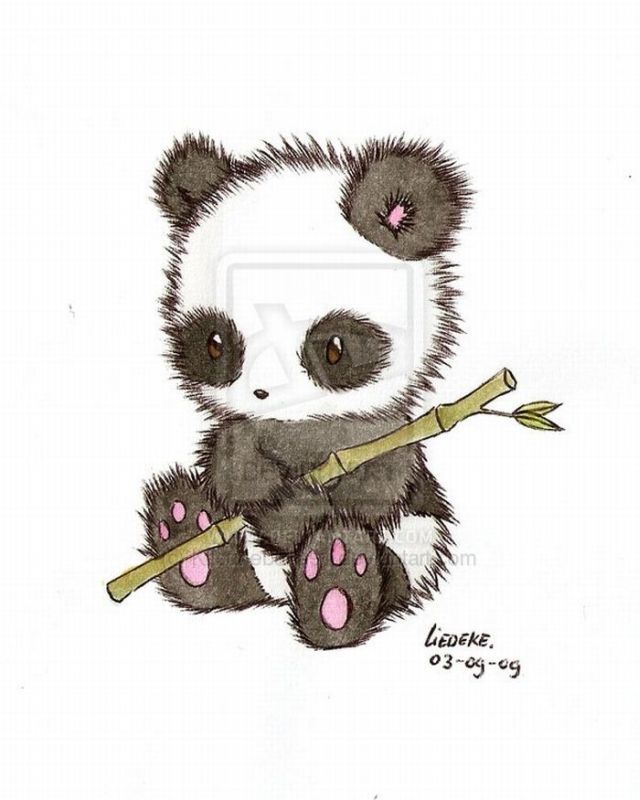 640x800 Cute Panda Drawing - Cool Panda Drawing