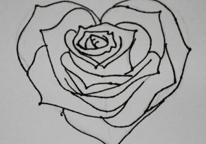 300x210 Cool Rose Drawings In Pencil Cool Pics To Draw Rose Pencil - Cool Rose Drawings