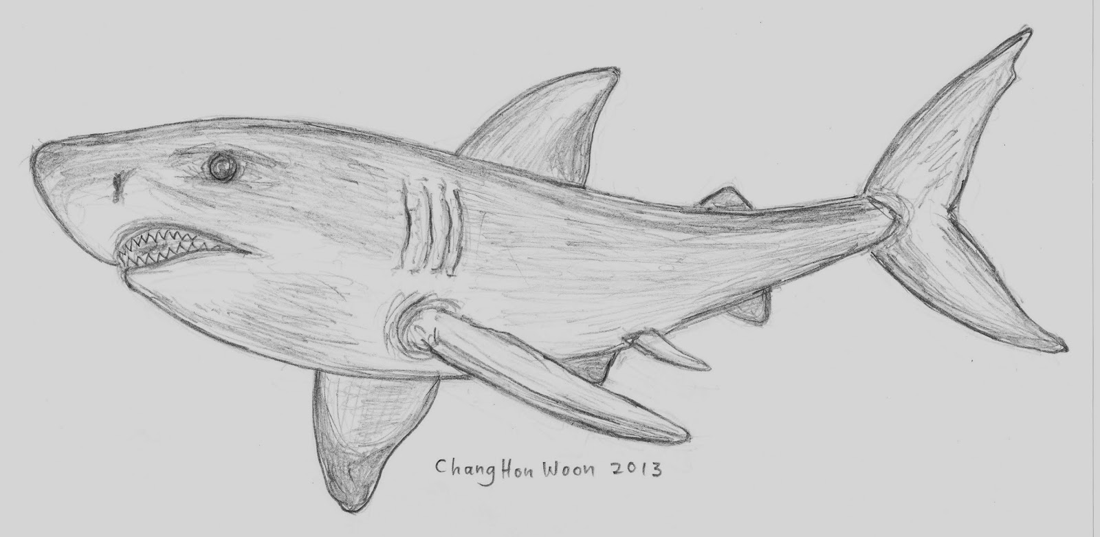 Cool Shark Drawings at Explore collection of Cool