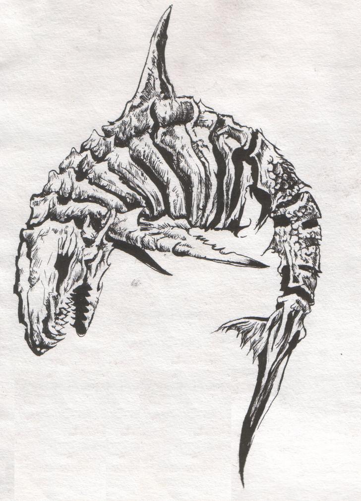 728x1011 Cool Shark Drawings - Cool Shark Drawings