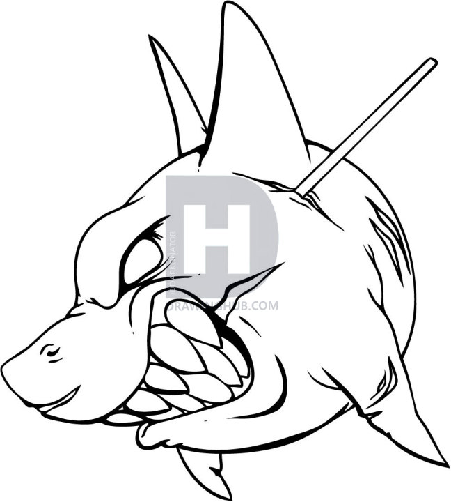 648x720 How To Draw A Shark Tattoo, Step - Cool Shark Drawings