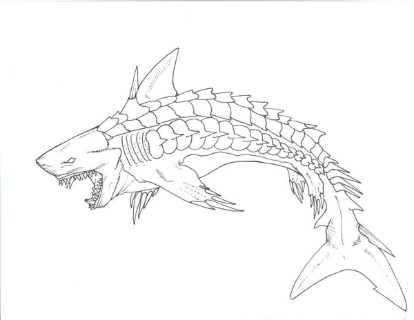 600x464 Shark Line Art Image Group - Cool Shark Drawings