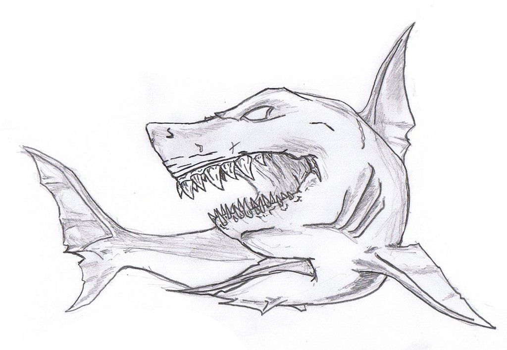 1024x707 Shark Drawing Clean Up The Drawing And Shark Girl - Cool Shark Drawings
