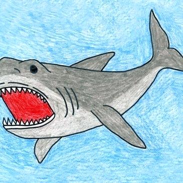 365x365 cool shark drawings draw a shark cool shark drawings easy - Cool Shark Drawings
