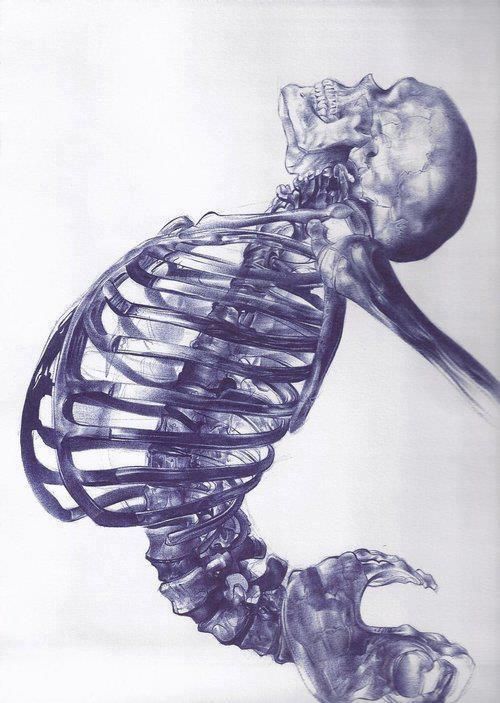 500x703 Cool Pen Drawings Ballpoint Pen Skeleton Drawing Could Be Real - Cool Skeleton Drawings