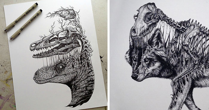 700x367 animals leave their skeletons behind in stunning dark drawings - Cool Skeleton Drawings