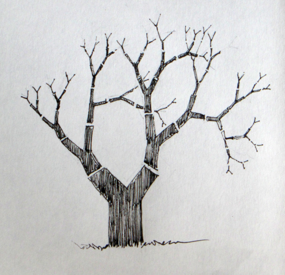 1000x968 Drawing A Tree Love To Draw - Cool Tree Drawings