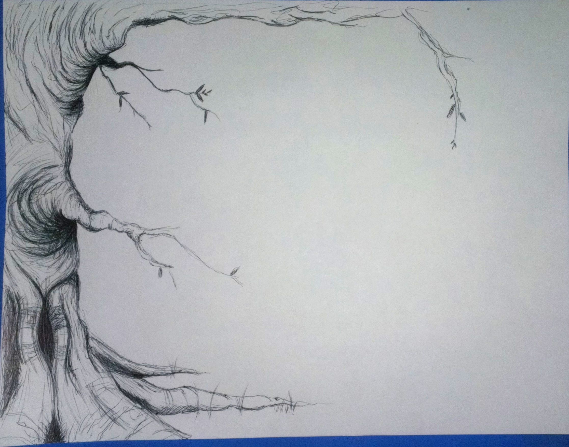 2234x1757 Really Cool Tree Drawings - Cool Tree Drawings