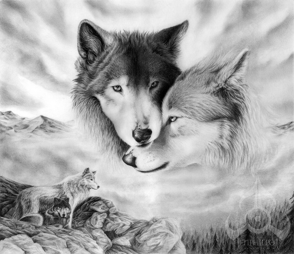 Cool Wolf Drawings