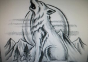 300x210 Cool Sketches Of Wolves Wolf Drawing Easy At Getdrawings Free - Cool Wolf Drawings