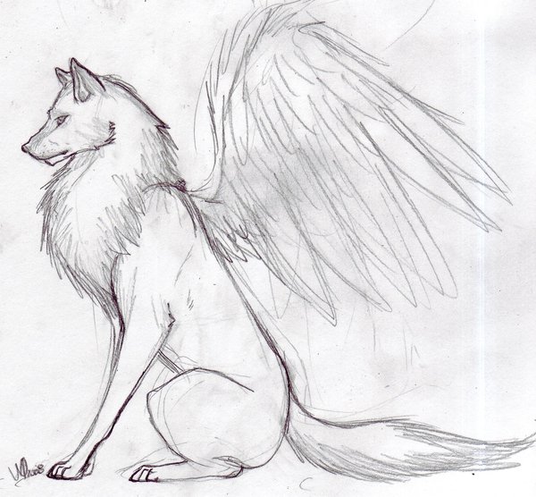 600x556 Cool Wolf Drawings - Cool Wolf Drawings