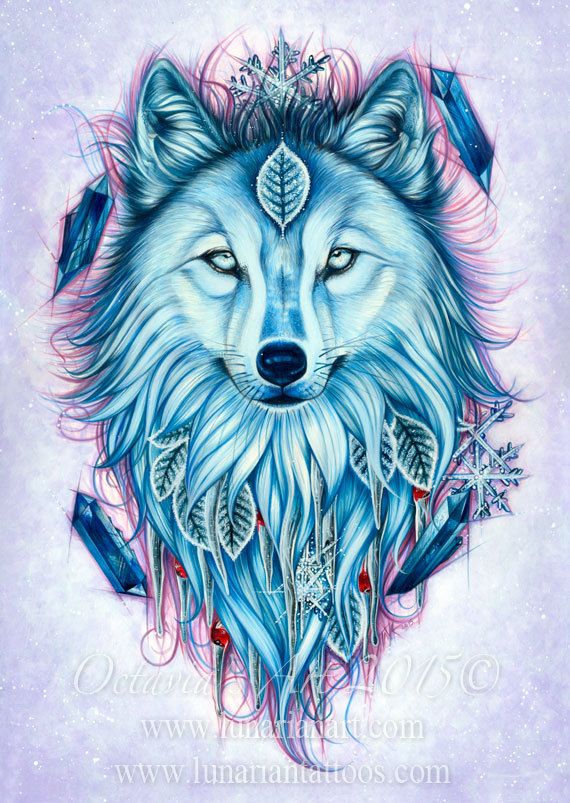 570x803 winter wolf wolf art wolf symbolism - Cool Wolf Drawings