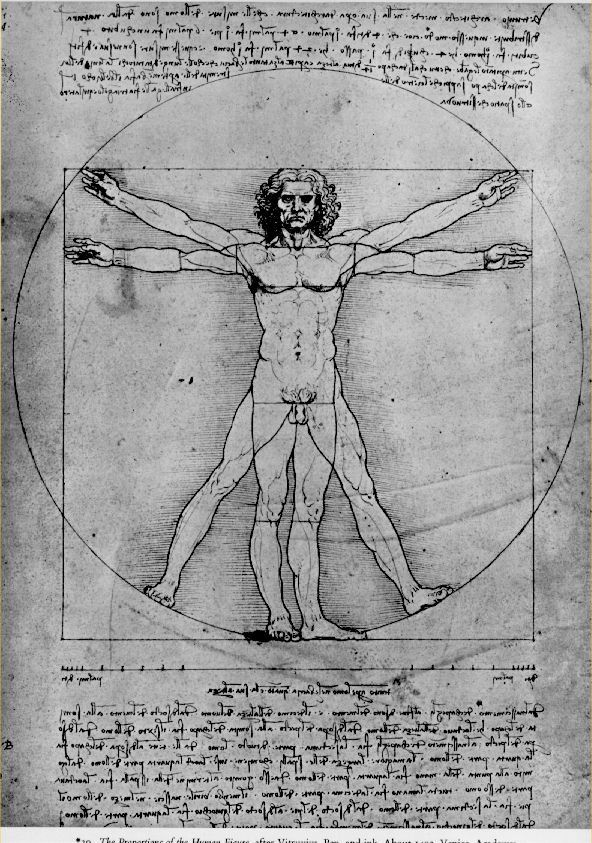 592x843 Vitruvian Man, One - Coolest Drawings Ever