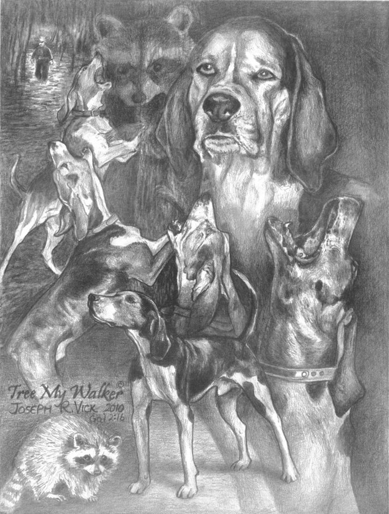 Coon Dog Drawings
