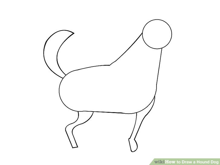 728x546 how to draw a hound dog steps - Coon Dog Drawings