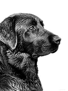225x300 hunting dogs art fine art america - Coon Dog Drawings