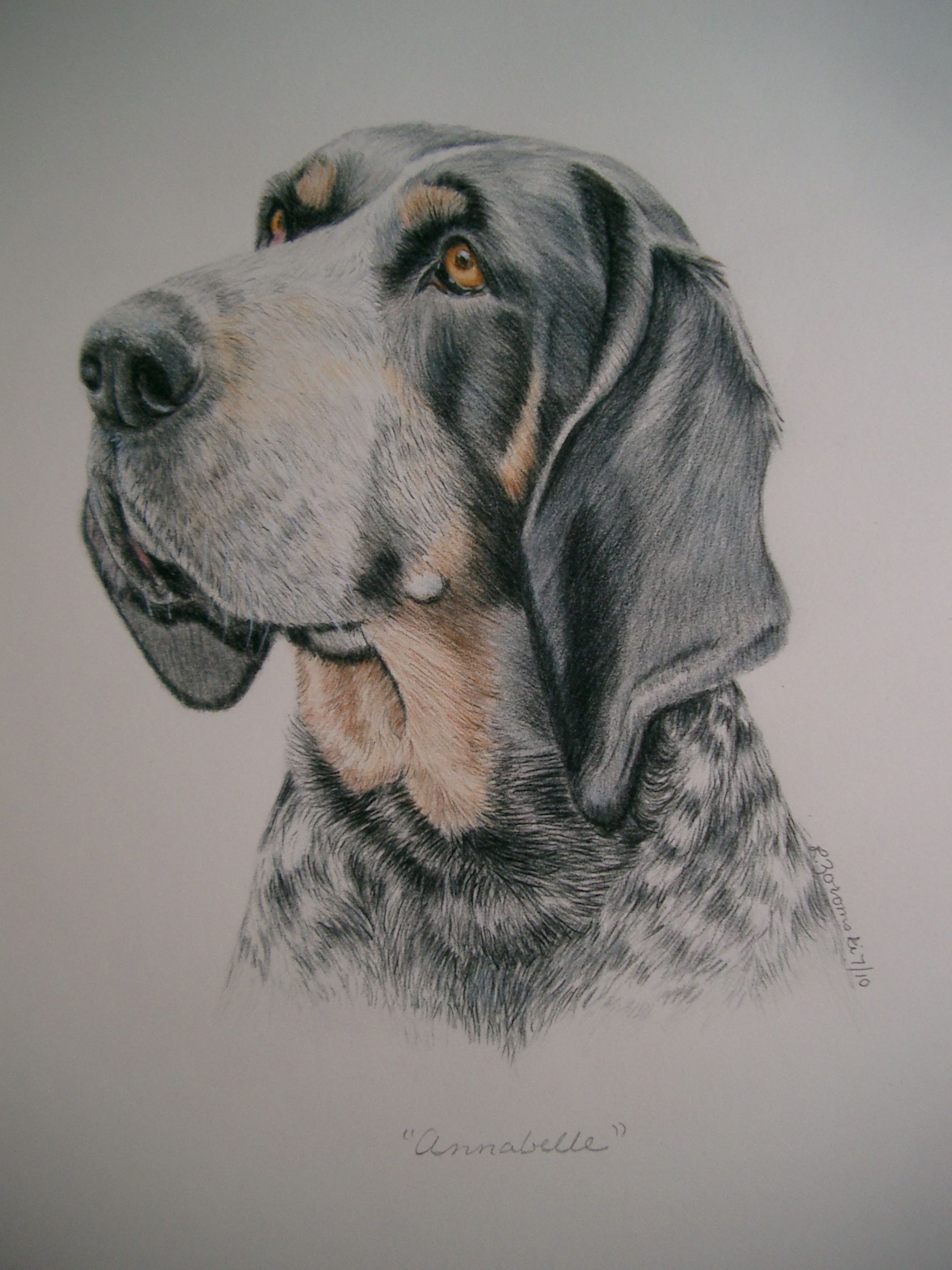1680x2240 lesley zoromski dog portraits simply amazing! annabelle - Coon Dog Drawings