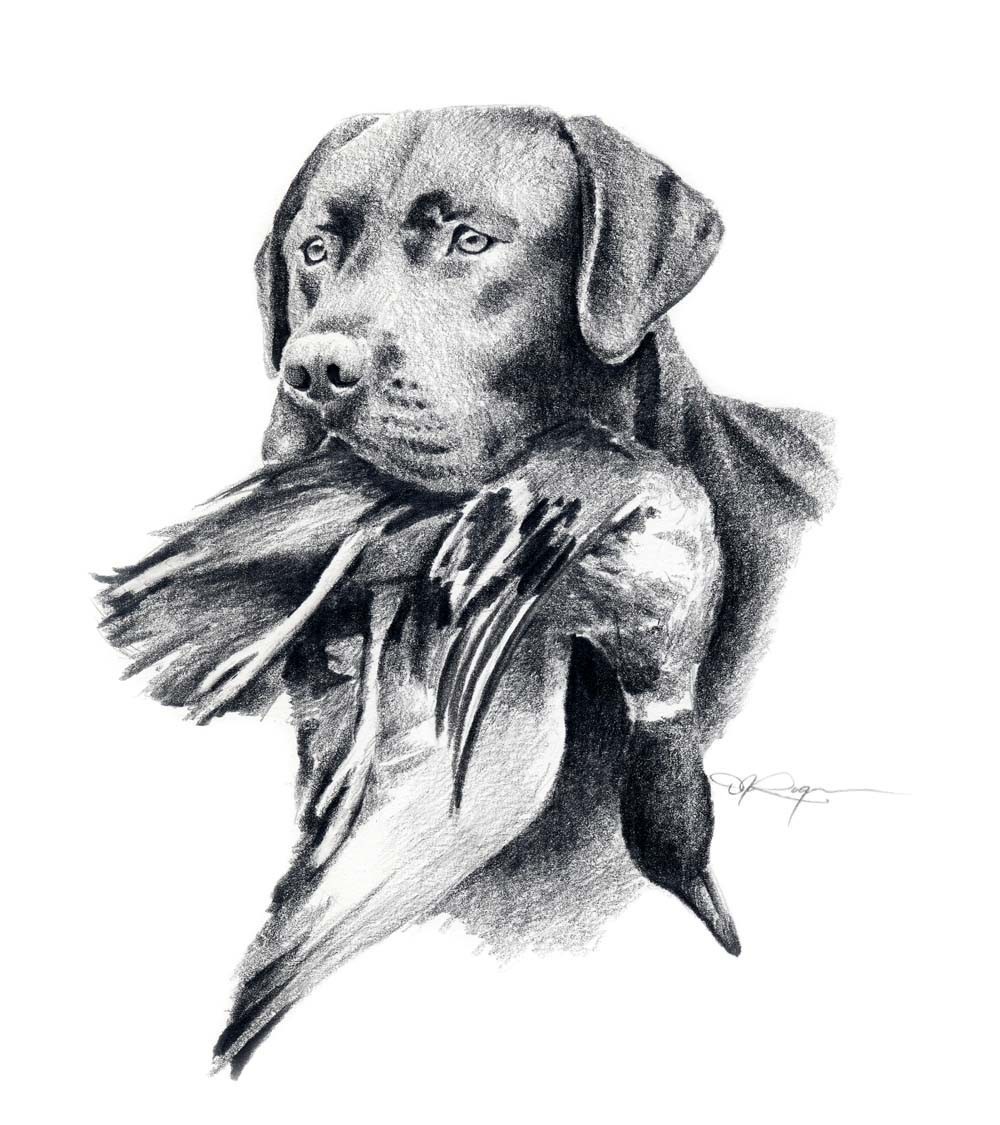 Coon Dog Drawings at PaintingValley.com | Explore collection of Coon