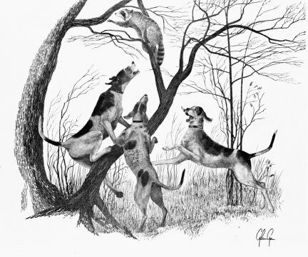 432x360 coon hunting art hound dog, walker hound, hunting tattoos - Coon Dog Drawings