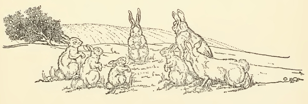 632x214 Rabbits Drawing - Copyright Free Drawings
