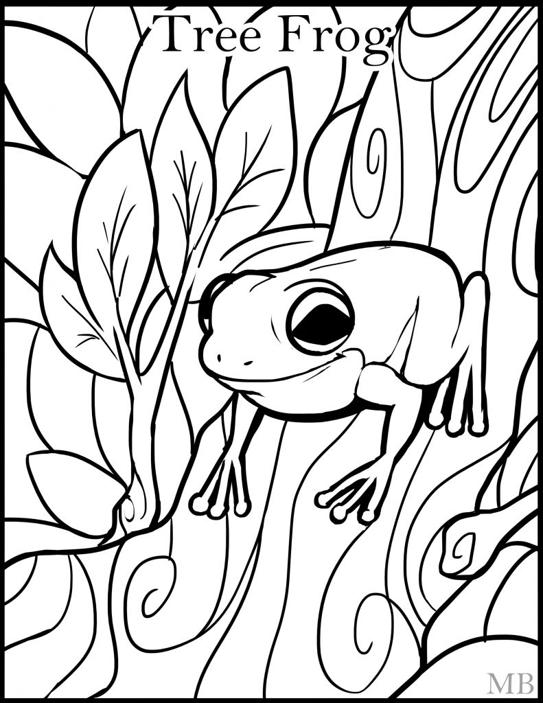 791x1024 coqui coloring - Coqui Drawing