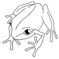 198x200 coqui drawing - Coqui Drawing
