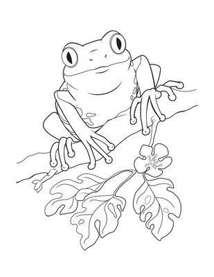 Coqui Puerto Rico Drawing Frog Taino Clipart Getdrawings Symbol ...