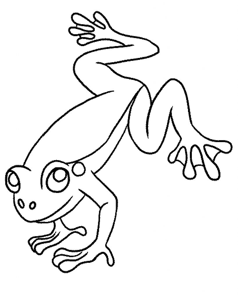 Coqui Coloring Page Coloring Pages