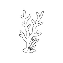240x240 coral cartoon illustration isolated on white background - Coral Cartoon Drawing