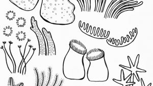 300x170 Drawing A Cartoon Plane Troller Us - Coral Cartoon Drawing