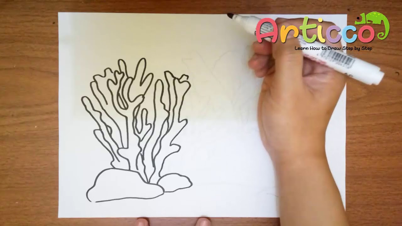 1280x720 how to draw coral step - Coral Cartoon Drawing
