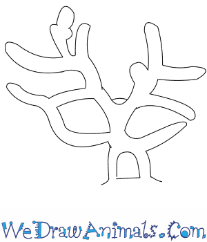 300x350 how to draw a red coral - Coral Cartoon Drawing