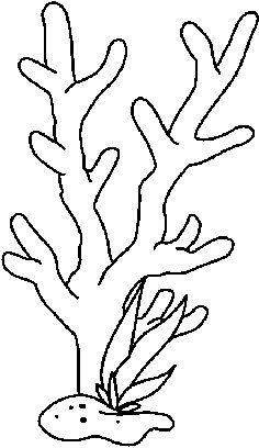 236x408 sea clipart drawing for kids random coral reef easy - Coral Cartoon Drawing