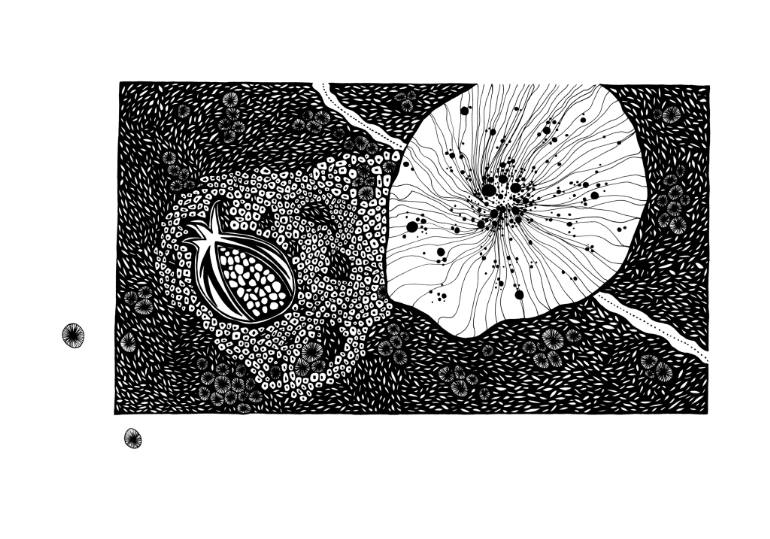 770x539 Ocean Coral Drawing - Coral Drawing